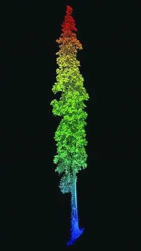 20250722175317755464407964.jpg 3.jpg